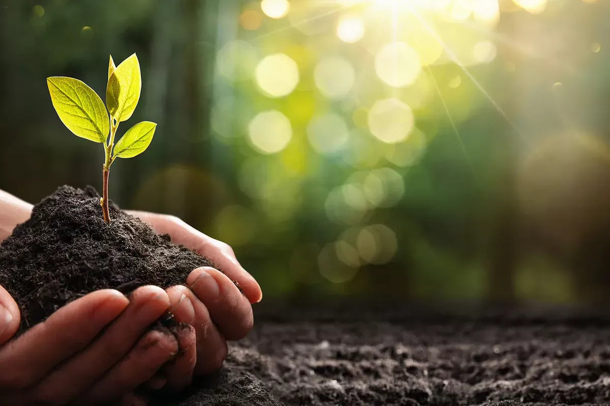 Cucina sostenibile? Con AMC si può fare!