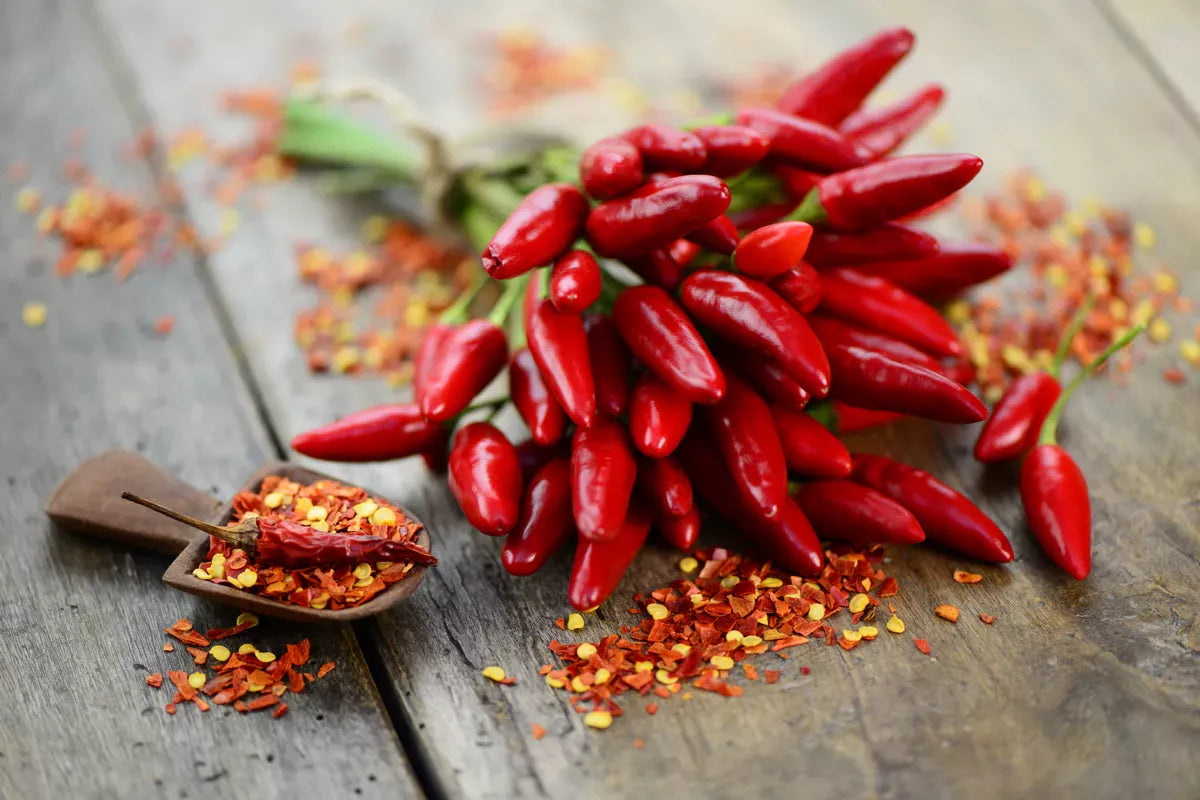 Incendia i tuoi piatti: scopri tutti i benefici del peperoncino